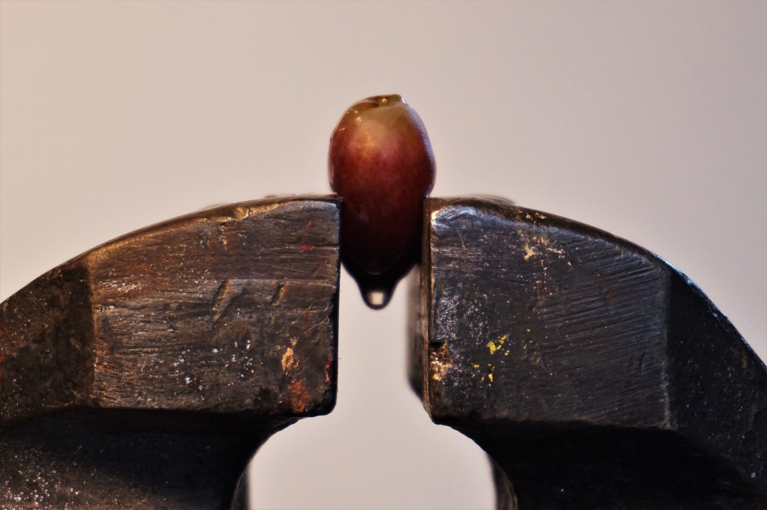 Tradition and Technology The Early Development of the Wine Press