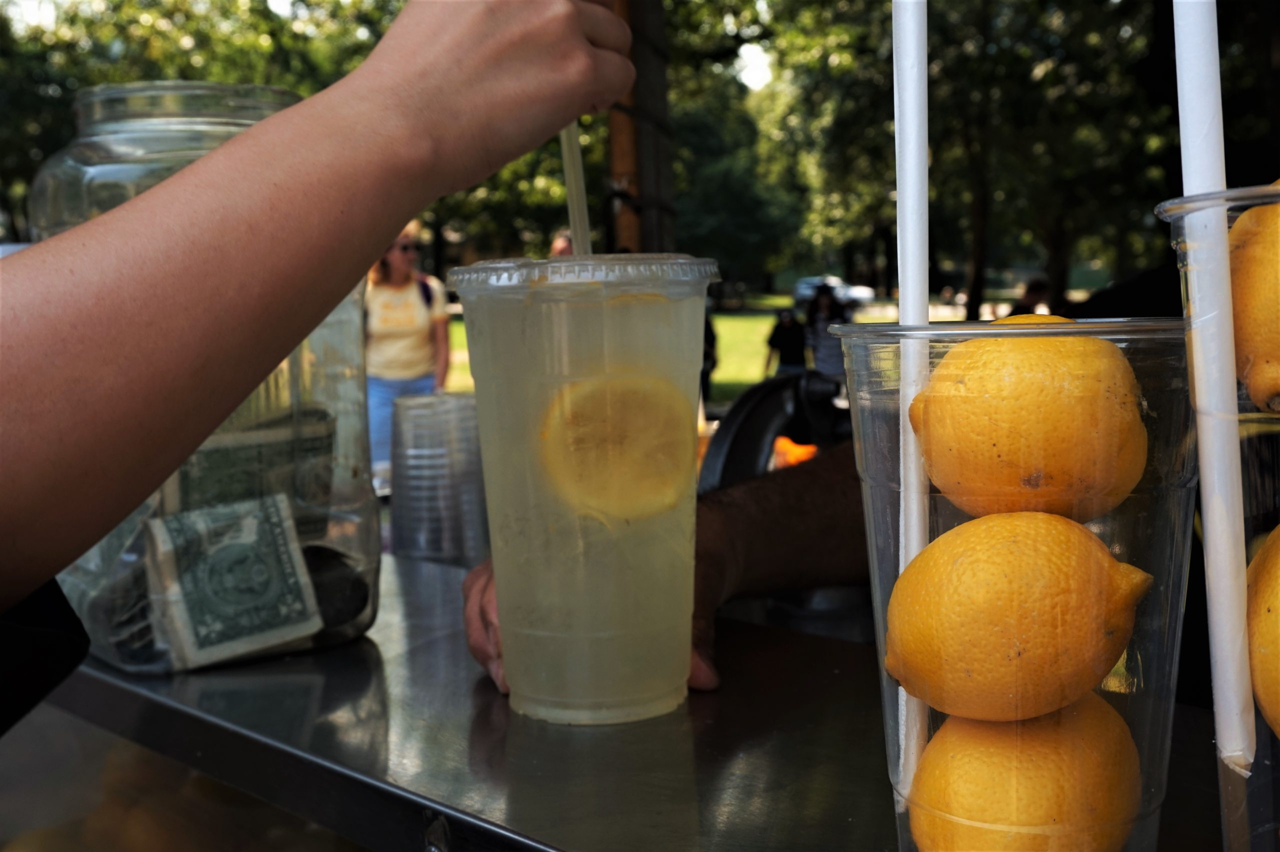 The Lemonade Stands of Boston Common DrinkingFolk